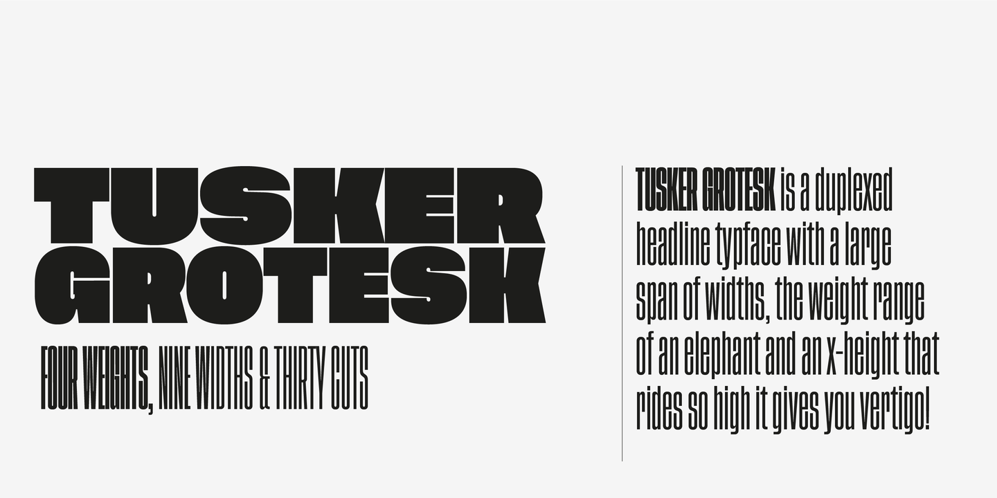 Beispiel einer Tusker Grotesk-Schriftart #2